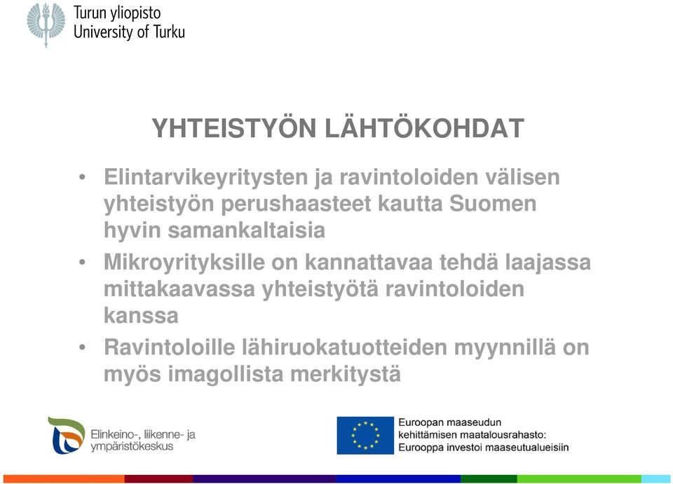 Mikroyrityksille on kannattavaa tehdä laajassa mittakaavassa yhteistyötä