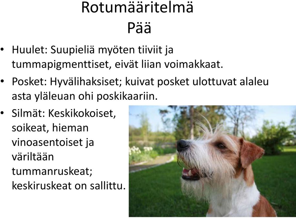 Rotumääritelmä Pää Huulet: Suupieliä myöten tiiviit ja