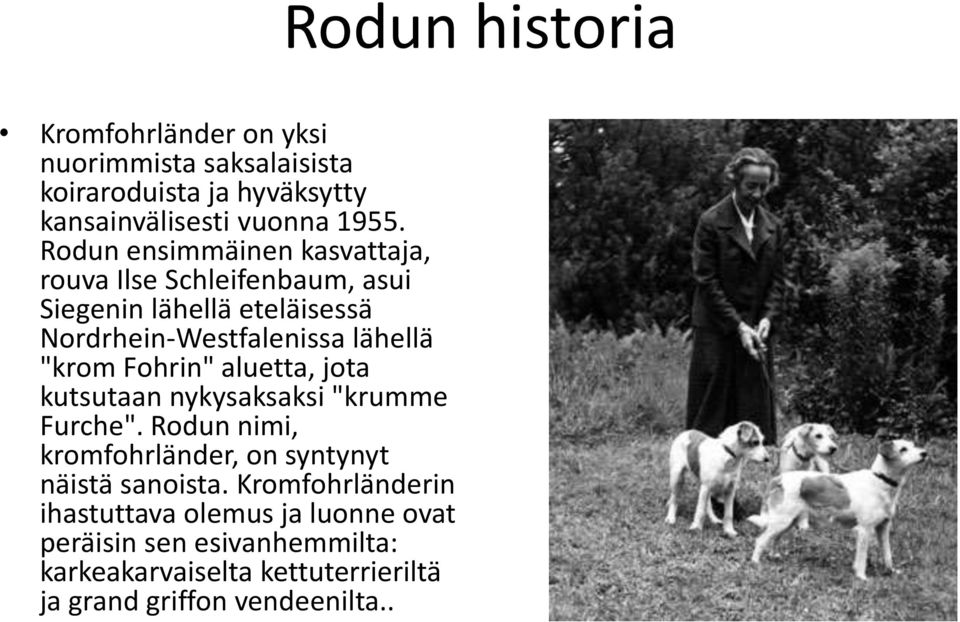 Fohrin" aluetta, jota kutsutaan nykysaksaksi "krumme Furche". Rodun nimi, kromfohrländer, on syntynyt näistä sanoista.