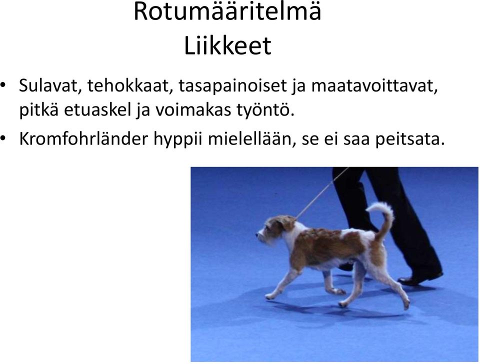 maatavoittavat, pitkä etuaskel ja