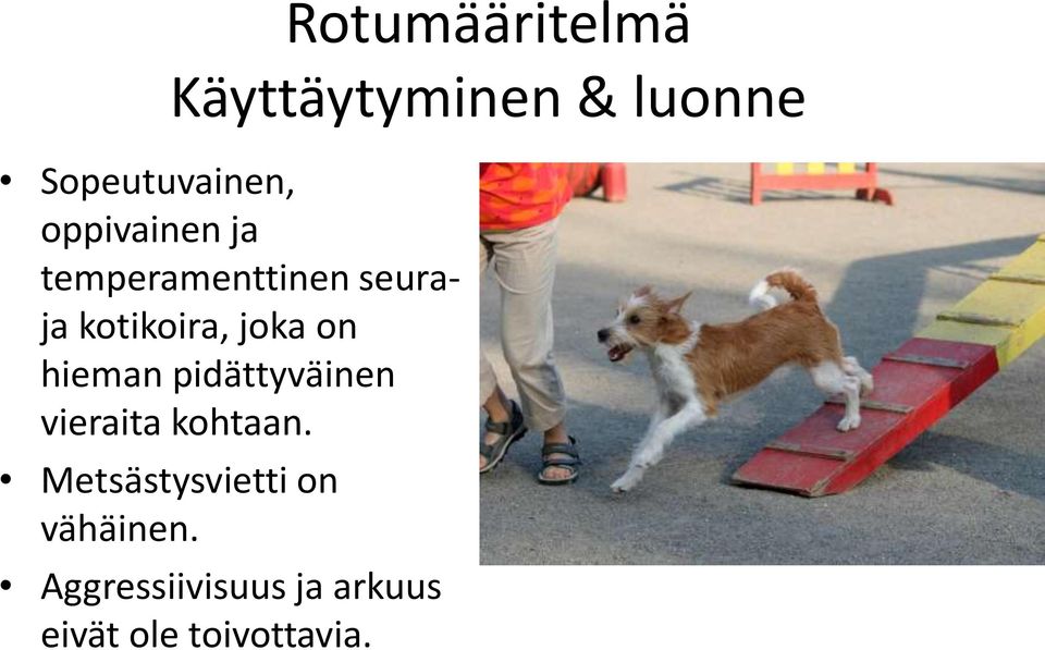 on hieman pidättyväinen vieraita kohtaan.