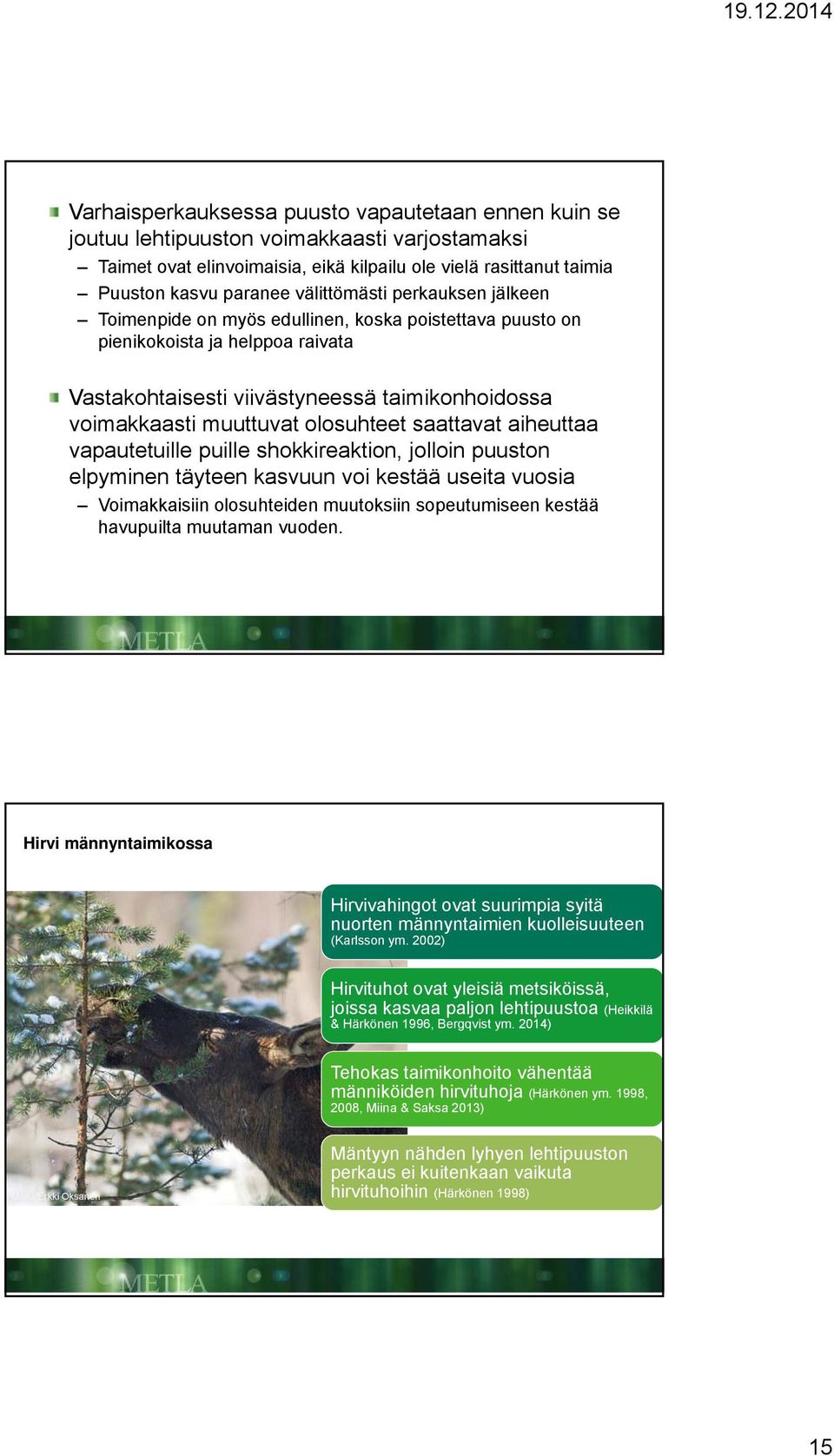 olosuhteet saattavat aiheuttaa vapautetuille puille shokkireaktion, jolloin puuston elpyminen täyteen kasvuun voi kestää useita vuosia Voimakkaisiin olosuhteiden muutoksiin sopeutumiseen kestää