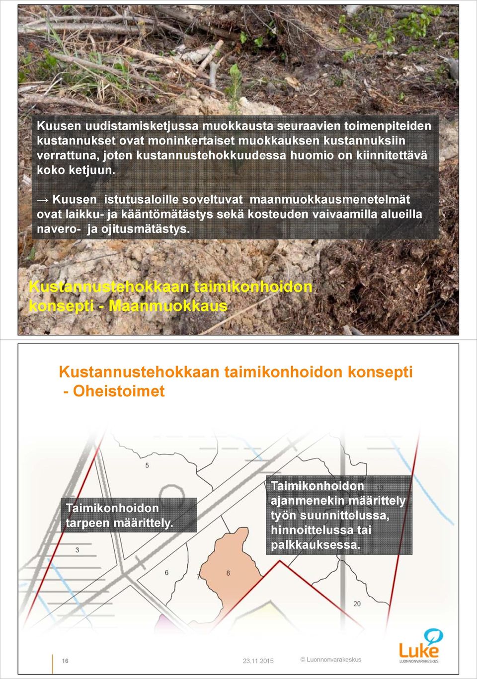 Kuusen istutusaloille soveltuvat maanmuokkausmenetelmät ovat laikku- ja kääntömätästys sekä kosteuden vaivaamilla alueilla navero- ja