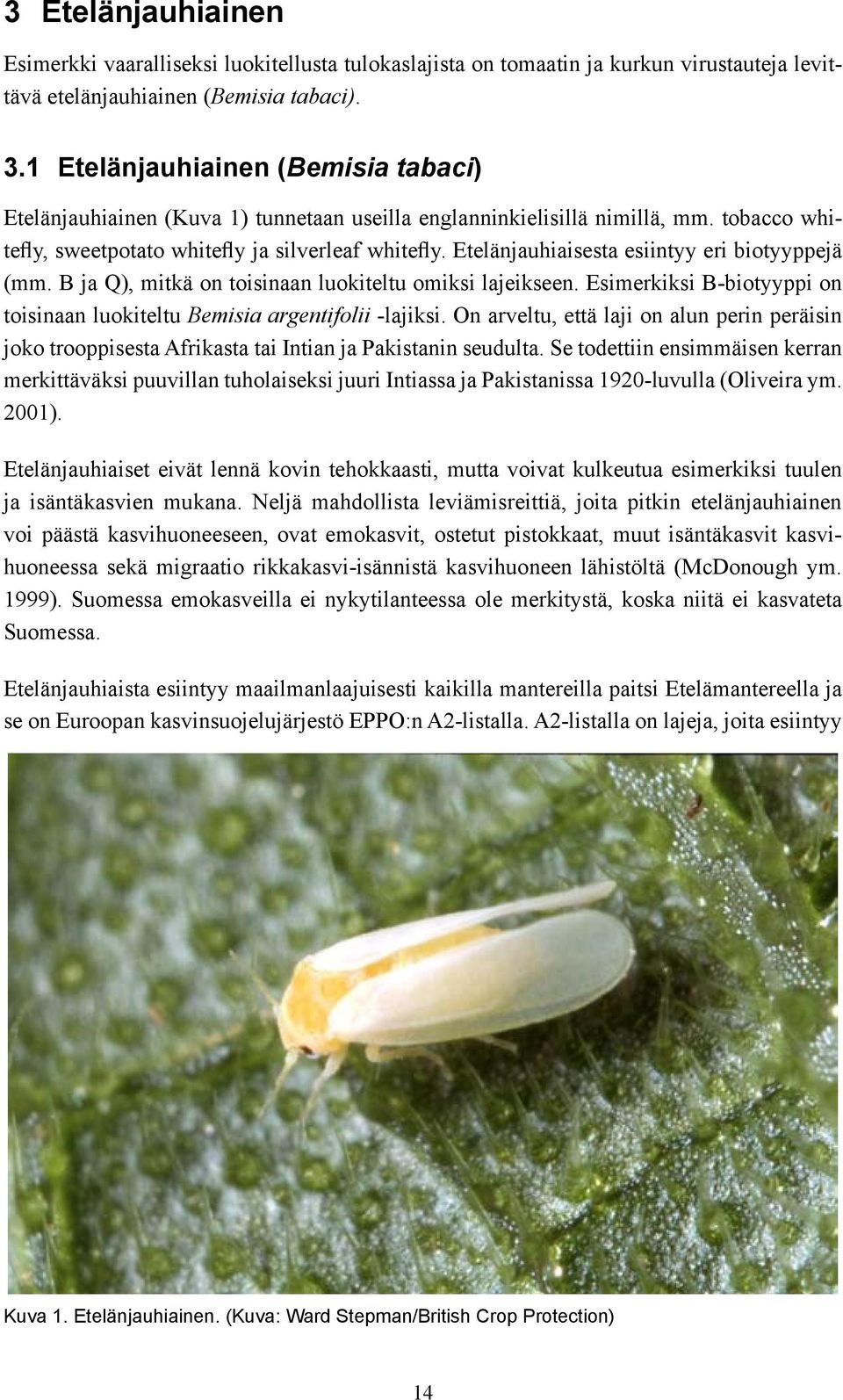 Etelänjauhiaisesta esiintyy eri biotyyppejä (mm. B ja Q), mitkä on toisinaan luokiteltu omiksi lajeikseen. Esimerkiksi B-biotyyppi on toisinaan luokiteltu Bemisia argentifolii -lajiksi.