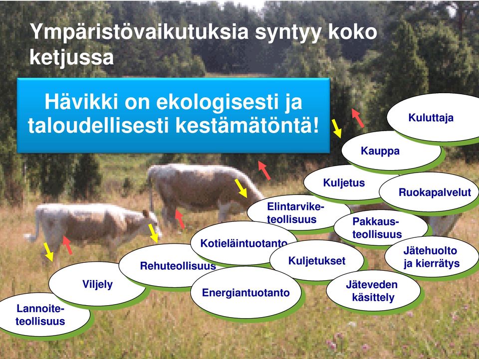 Kuluttaja Kauppa Lannoiteteollisuus Viljely Rehuteollisuus Kotieläintuotanto