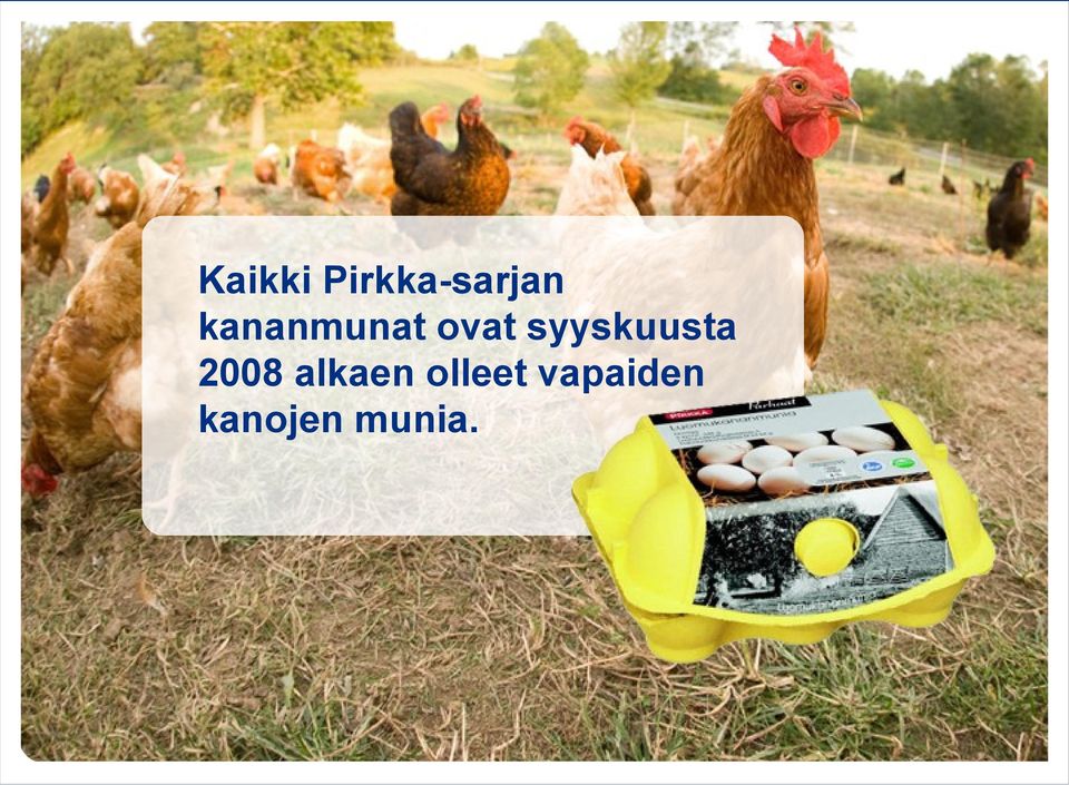 syyskuusta 2008 alkaen