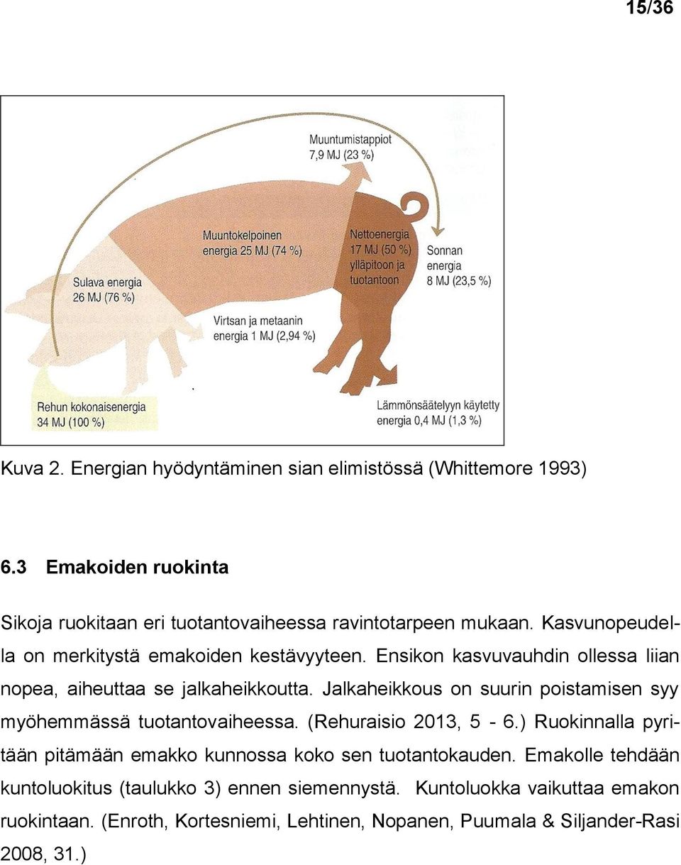 Jalkaheikkous on suurin poistamisen syy myöhemmässä tuotantovaiheessa. (Rehuraisio 2013, 5-6.