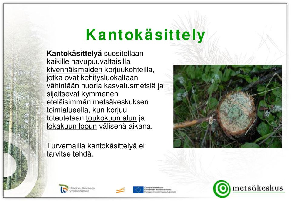 sijaitsevat kymmenen eteläisimmän metsäkeskuksen toimialueella, kun korjuu toteutetaan