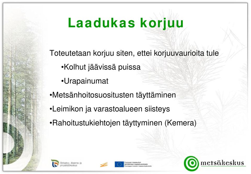 Urapainumat Metsänhoitosuositusten täyttäminen