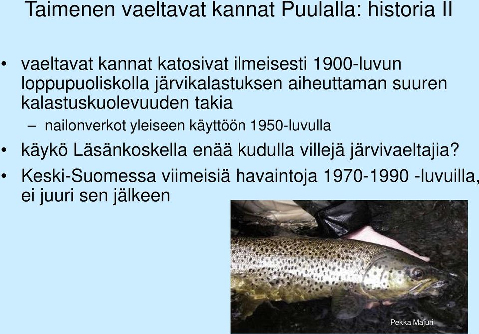 nailonverkot yleiseen käyttöön 1950-luvulla käykö Läsänkoskella enää kudulla villejä