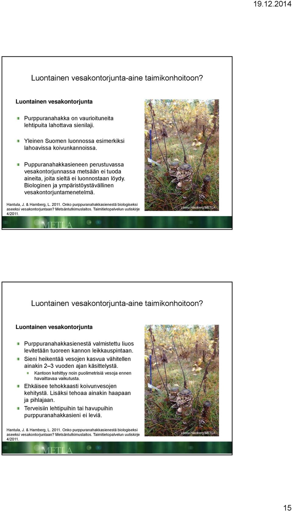 Biologinen ja ympäristöystävällinen vesakontorjuntamenetelmä. Hantula, J. & Hamberg, L. 2011. Onko purppuranahakkasienestä biologiseksi aseeksi vesakontorjuntaan? Metsäntutkimuslaitos.