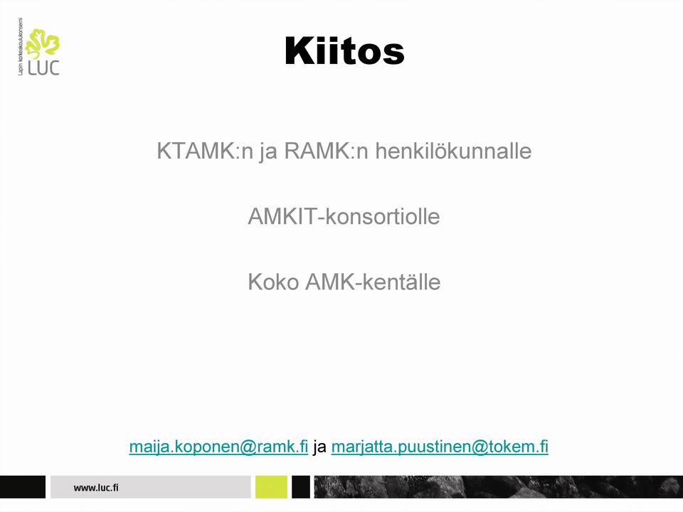 AMKIT-konsortiolle Koko