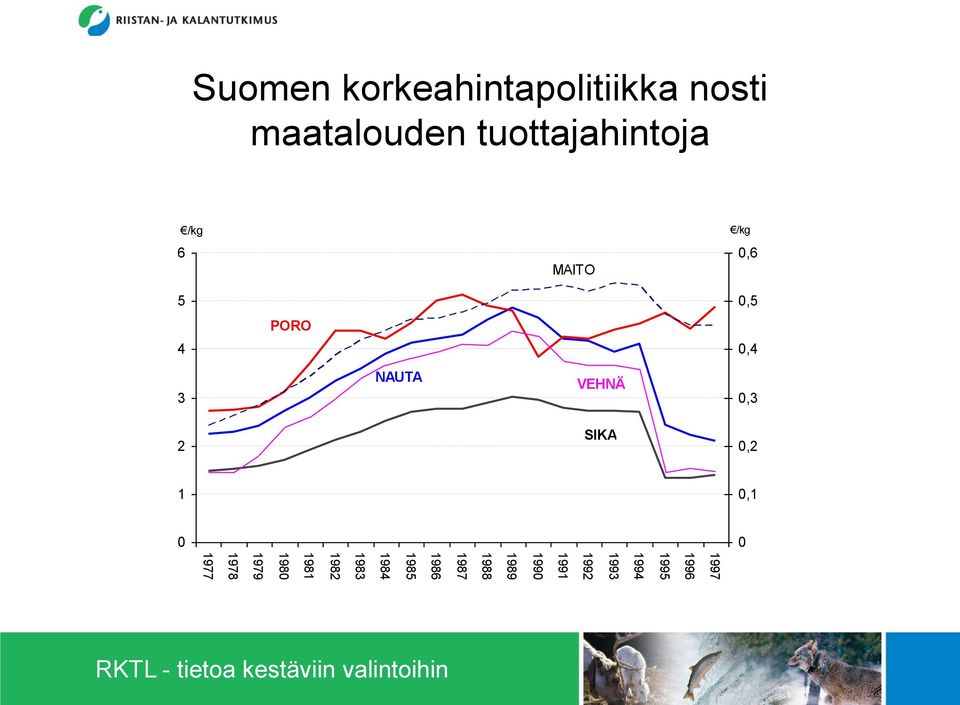 korkeahintapolitiikka nosti maatalouden tuottajahintoja /kg