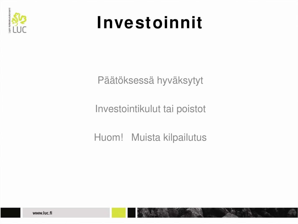 Investointikulut tai