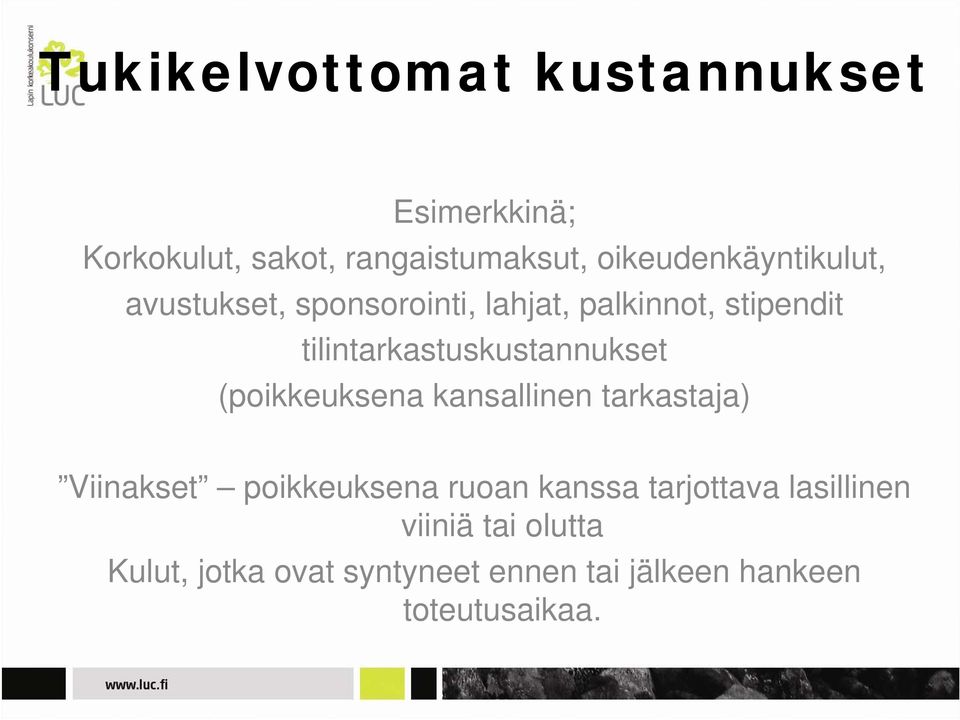 tilintarkastuskustannukset (poikkeuksena kansallinen tarkastaja) Viinakset poikkeuksena