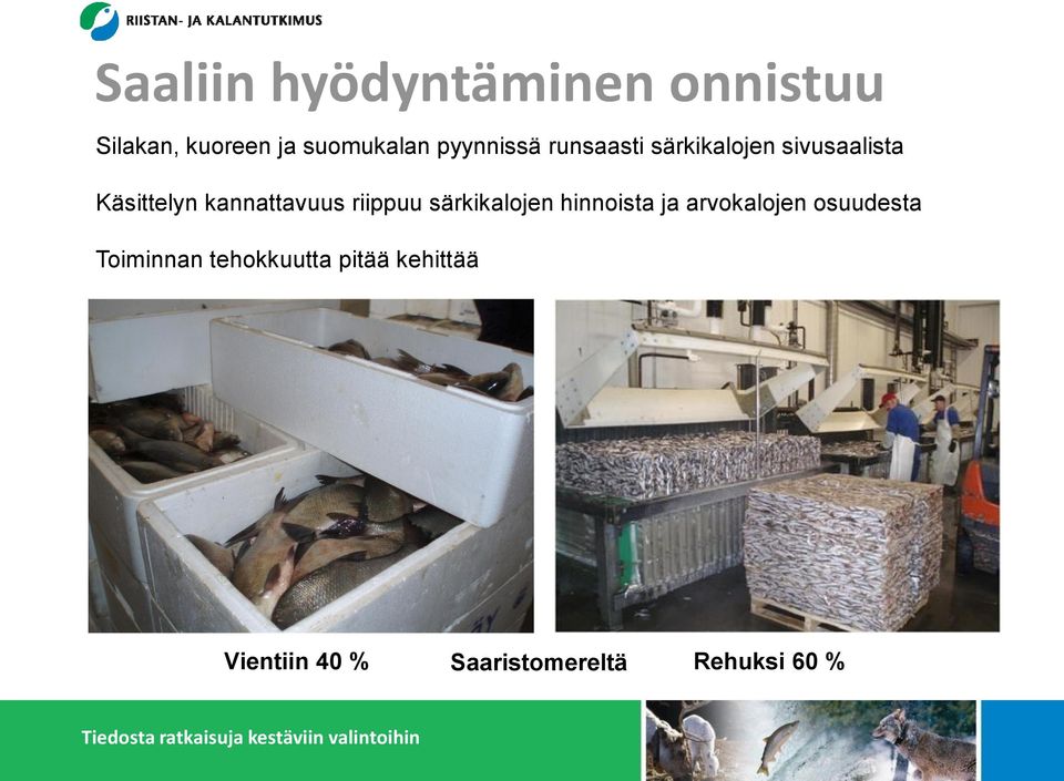 kannattavuus riippuu särkikalojen hinnoista ja arvokalojen