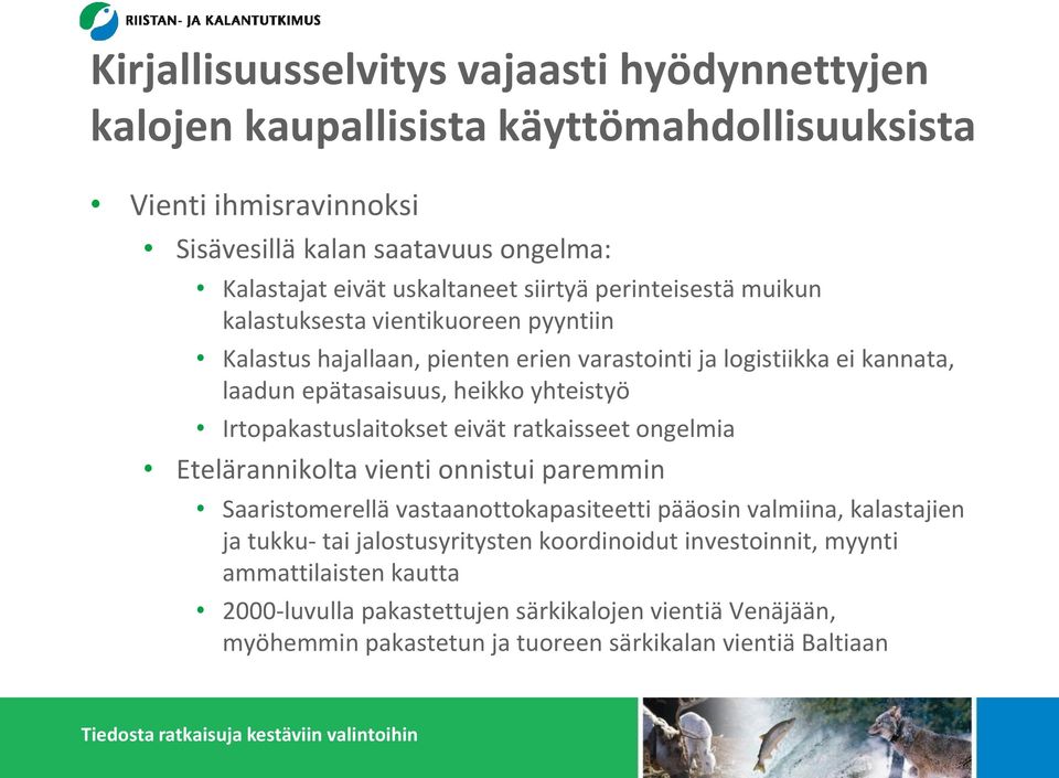 Irtopakastuslaitokset eivät ratkaisseet ongelmia Etelärannikolta vienti onnistui paremmin Saaristomerellä vastaanottokapasiteetti pääosin valmiina, kalastajien ja tukku- tai