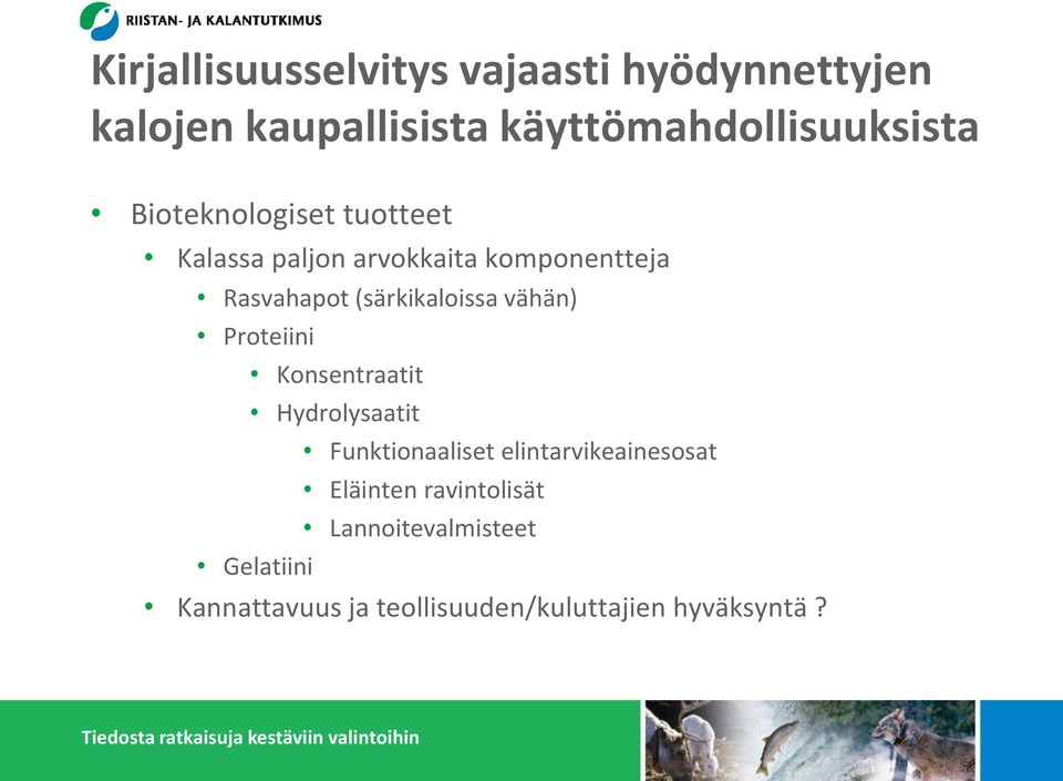 vähän) Proteiini Konsentraatit Hydrolysaatit Funktionaaliset elintarvikeainesosat Eläinten