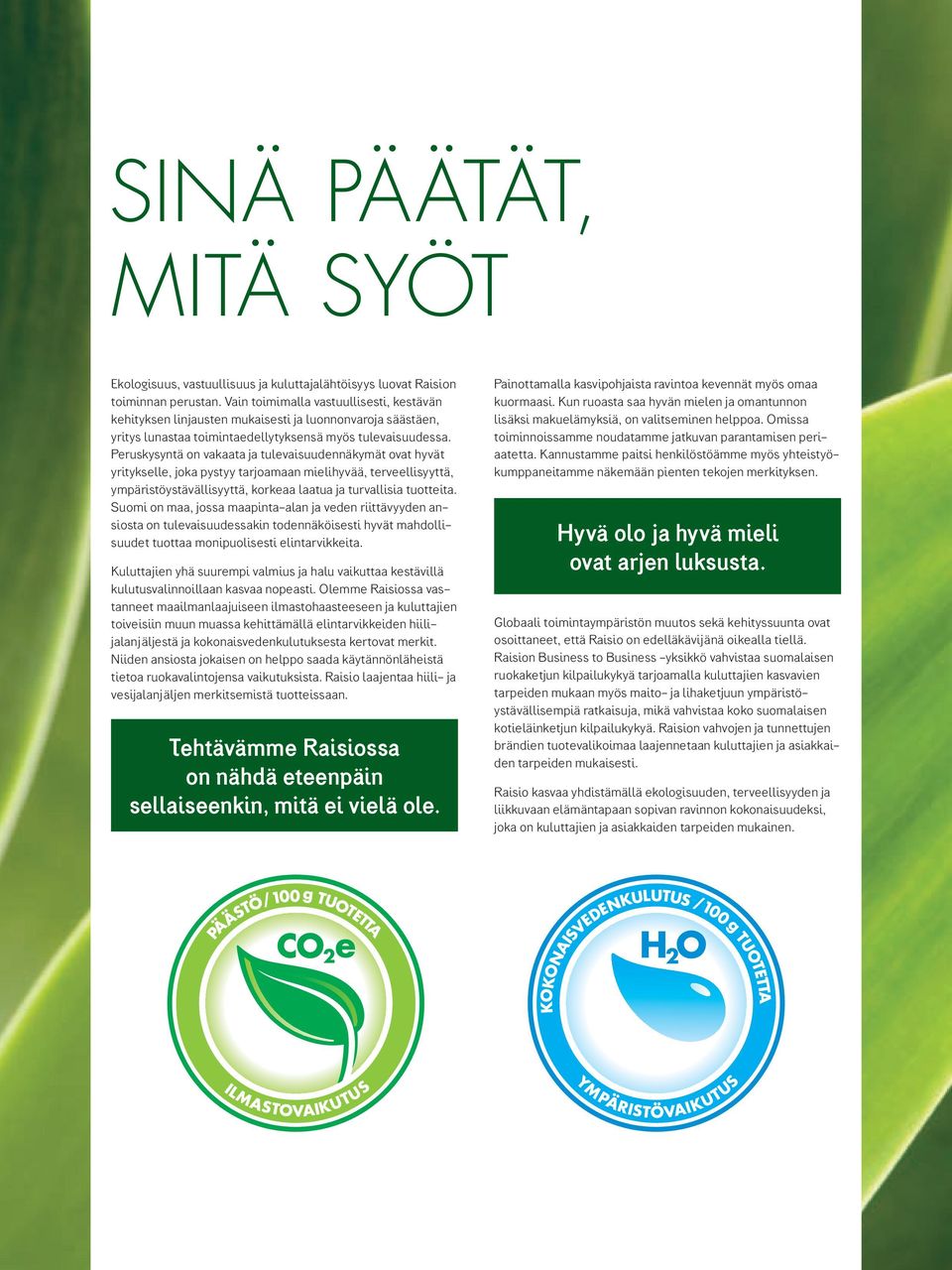 Peruskysyntä on vakaata ja tulevaisuuden näkymät ovat hyvät yritykselle, joka pystyy tarjoamaan mielihyvää, terveellisyyttä, ympäristöystävällisyyttä, korkeaa laatua ja turvallisia tuotteita.