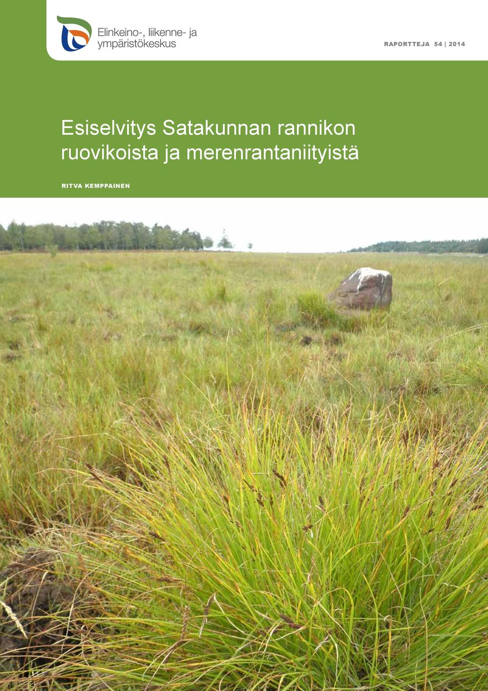 rannikon ruovikoista ja