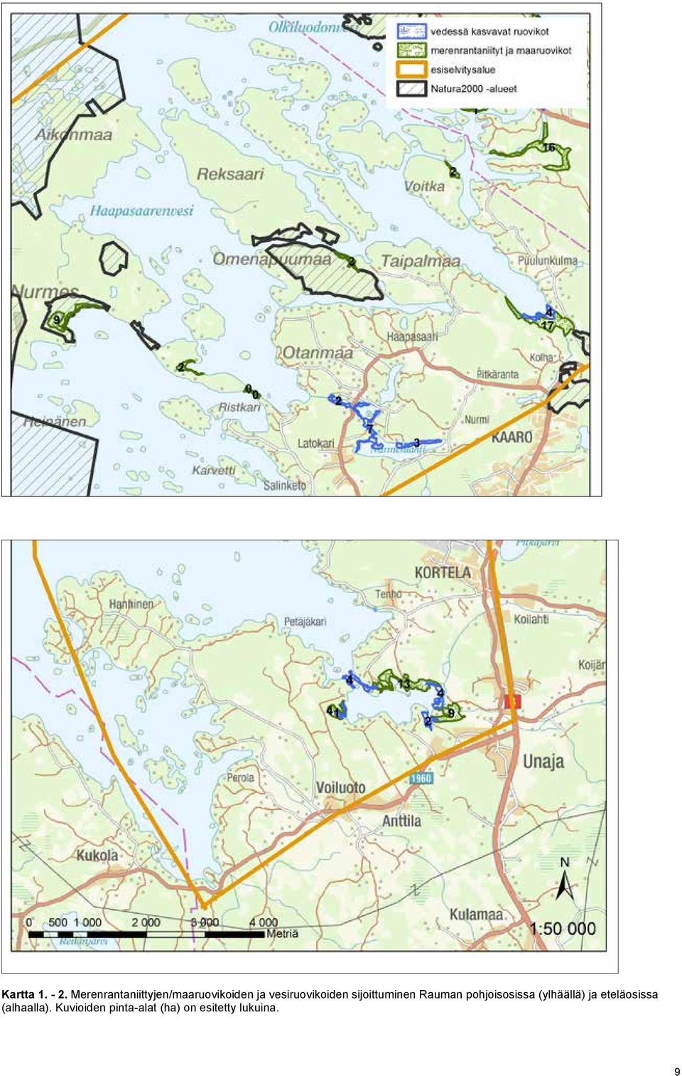 vesiruovikoiden sijoittuminen Rauman