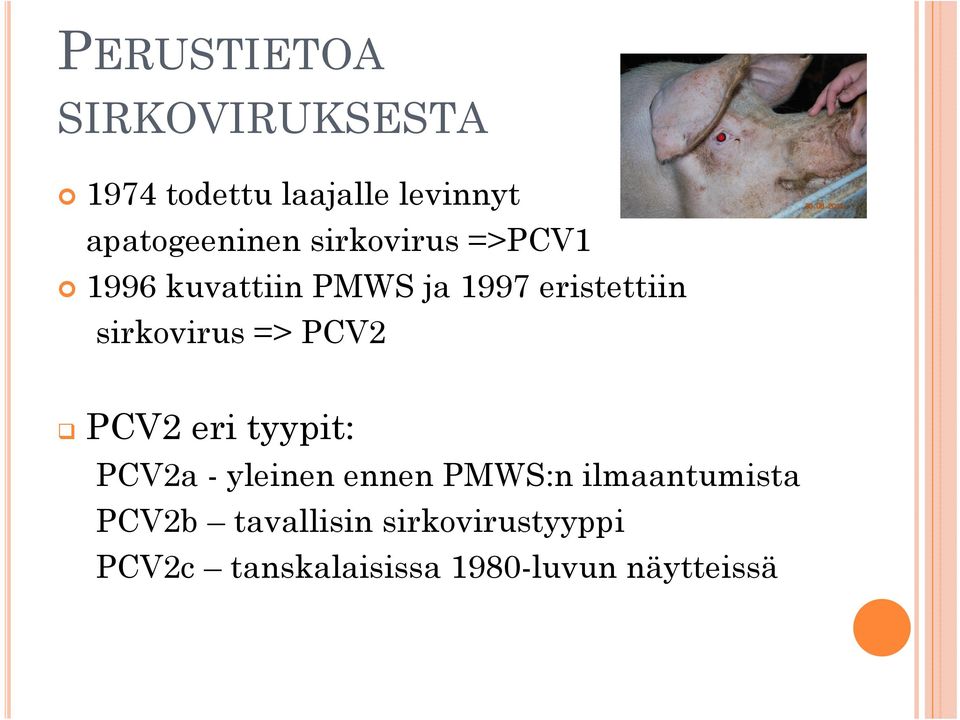 sirkovirus => PCV2 PCV2 eri tyypit: PCV2a - yleinen ennen PMWS:n