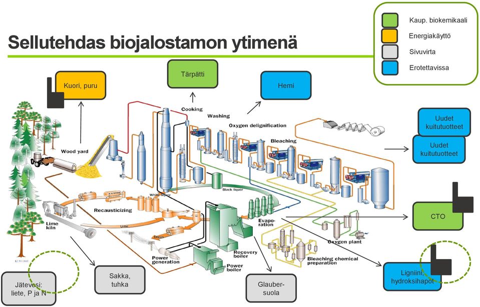 puru Hemi Uudet kuitutuotteet Uudet kuitutuotteet CTO 9 Mill