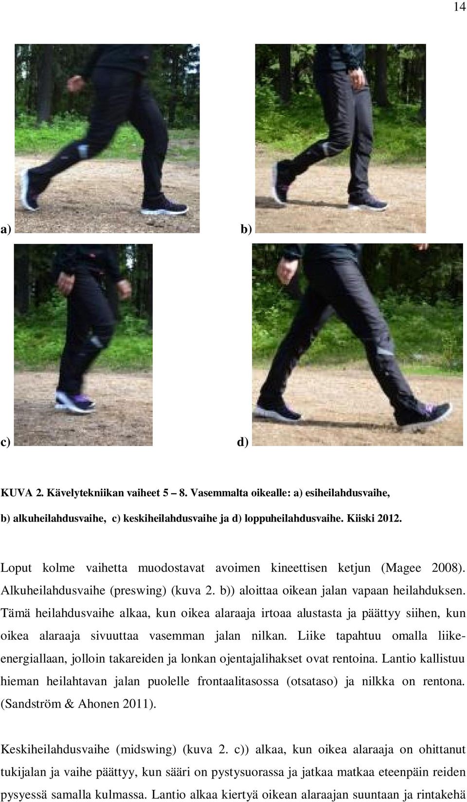 Tämä heilahdusvaihe alkaa, kun oikea alaraaja irtoaa alustasta ja päättyy siihen, kun oikea alaraaja sivuuttaa vasemman jalan nilkan.