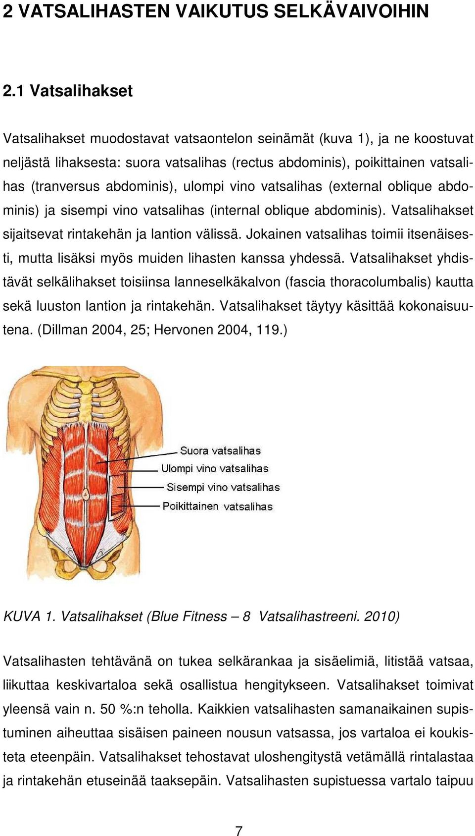 ulompi vino vatsalihas (external oblique abdominis) ja sisempi vino vatsalihas (internal oblique abdominis). Vatsalihakset sijaitsevat rintakehän ja lantion välissä.
