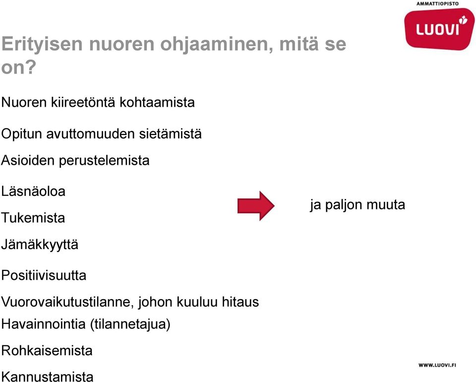 perustelemista Läsnäoloa Tukemista ja paljon muuta Jämäkkyyttä