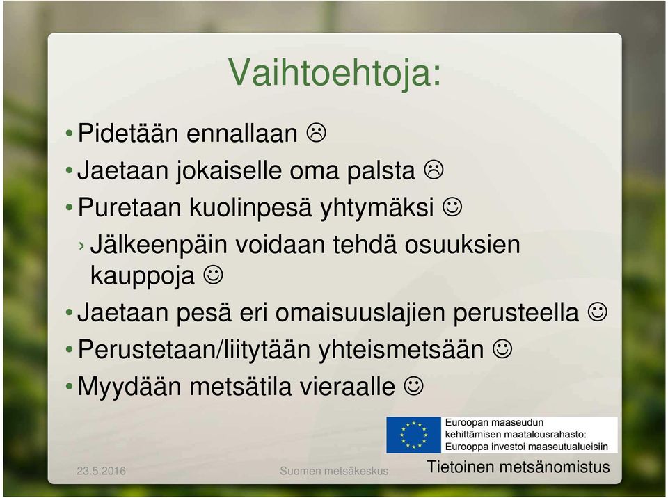 pesä eri omaisuuslajien perusteella Perustetaan/liitytään yhteismetsään