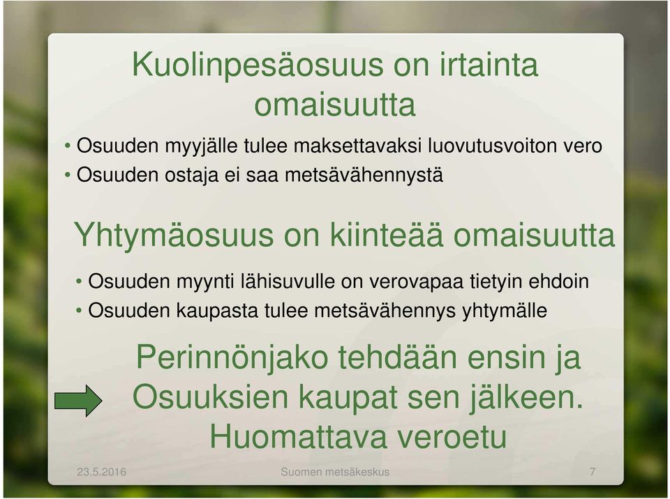 lähisuvulle on verovapaa tietyin ehdoin Osuuden kaupasta tulee metsävähennys yhtymälle