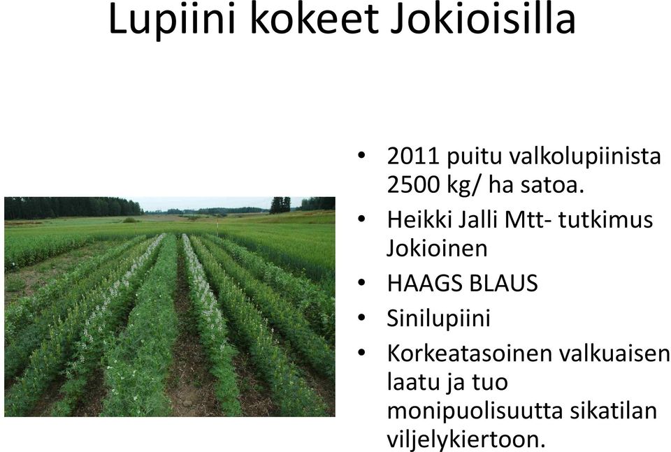 Heikki Jalli Mtt-tutkimus Jokioinen HAAGS BLAUS