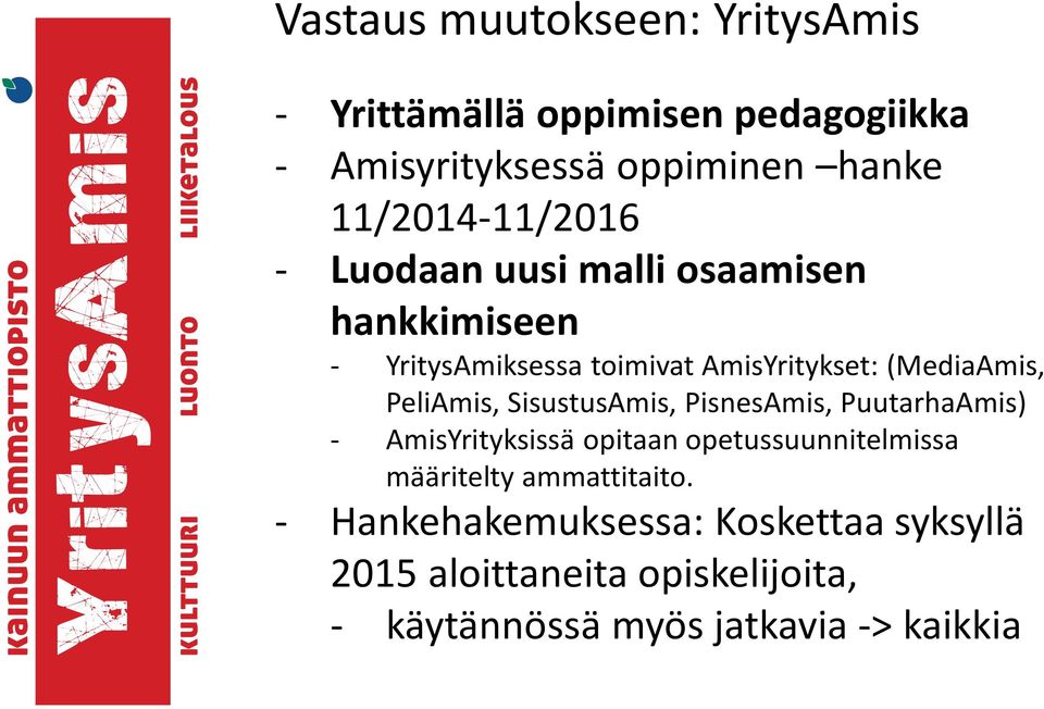 (MediaAmis, PeliAmis, SisustusAmis, PisnesAmis, PuutarhaAmis) - AmisYrityksissä opitaan opetussuunnitelmissa