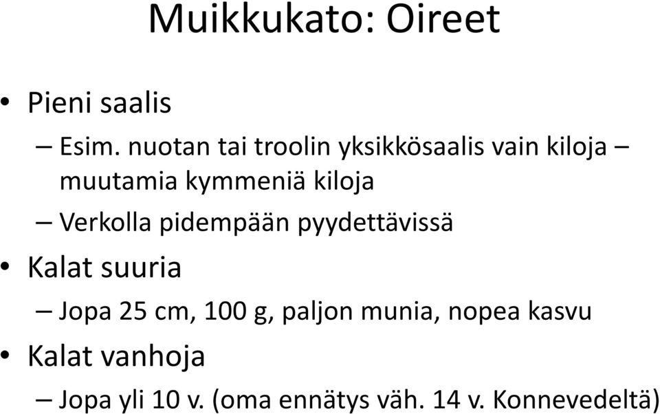 kiloja Verkolla pidempään pyydettävissä Kalat suuria Jopa 25 cm,