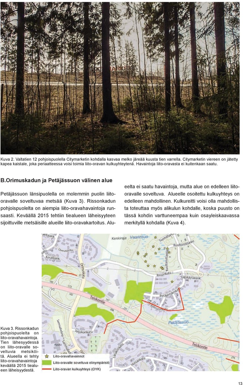 Orimuskadun ja Petäjässuon välinen alue Petäjässuon länsipuolella on molemmin puolin liitooravalle soveltuvaa metsää (Kuva 3). Rissonkadun pohjoispuolelta on aiempia liito-oravahavaintoja runsaasti.