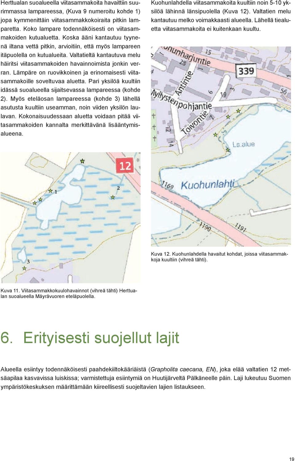 Valtatieltä kantautuva melu häiritsi viitasammakoiden havainnoimista jonkin verran. Lämpäre on ruovikkoinen ja erinomaisesti viitasammakoille soveltuvaa aluetta.