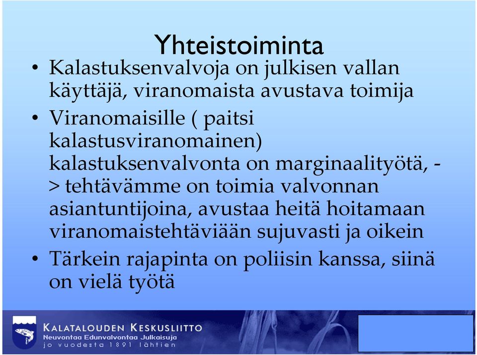 marginaalityötä, > tehtävämme on toimia valvonnan asiantuntijoina, avustaa heitä hoitamaan