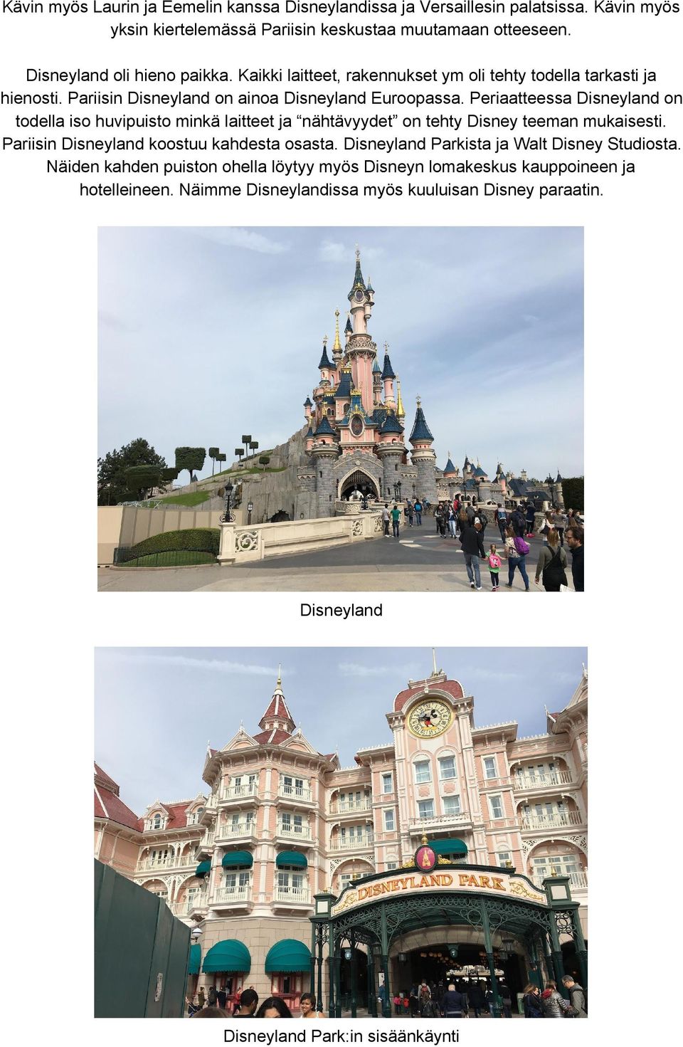 Periaatteessa Disneyland on todella iso huvipuisto minkä laitteet ja nähtävyydet on tehty Disney teeman mukaisesti. Pariisin Disneyland koostuu kahdesta osasta.
