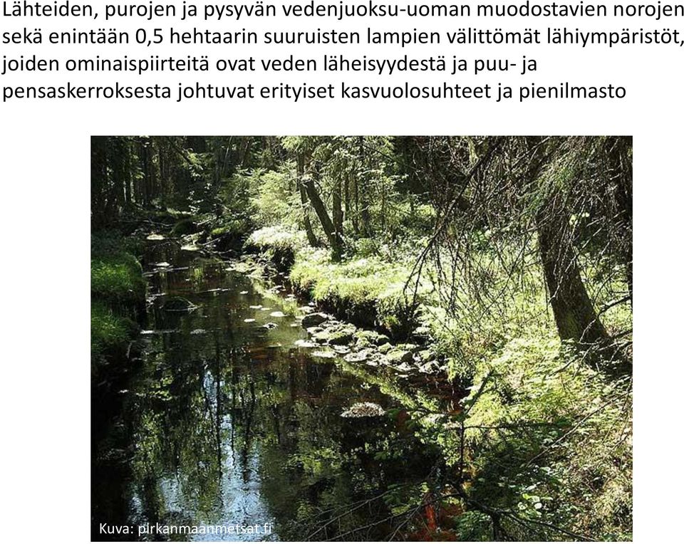 joiden ominaispiirteitä ovat veden läheisyydestä ja puu- ja