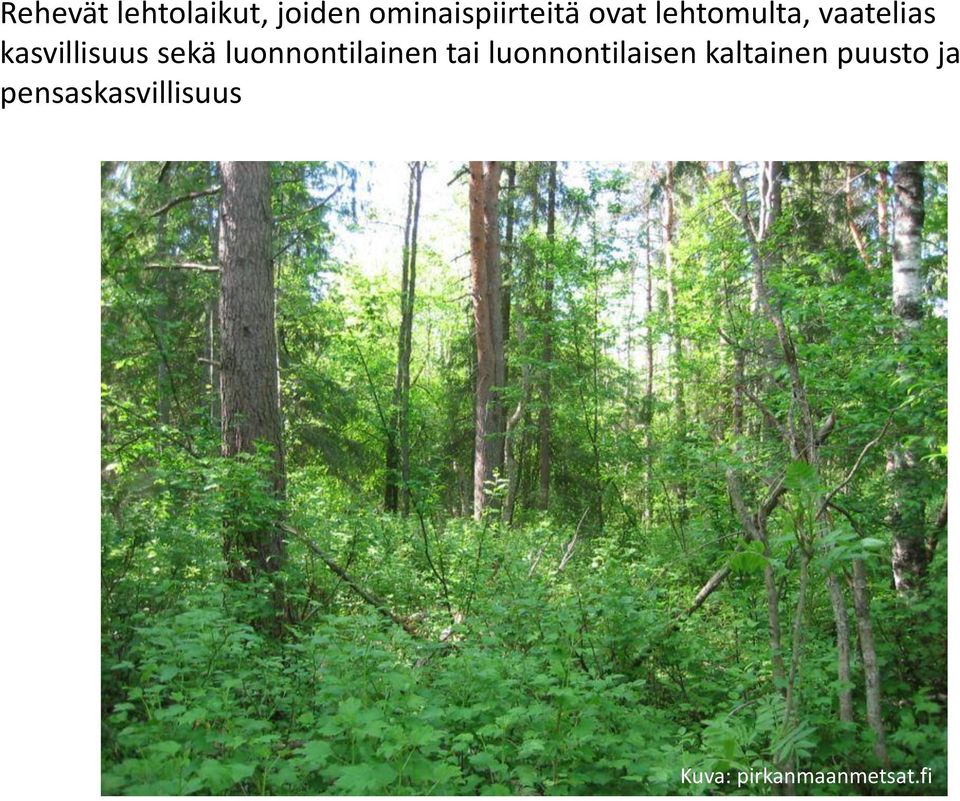 luonnontilainen tai luonnontilaisen kaltainen