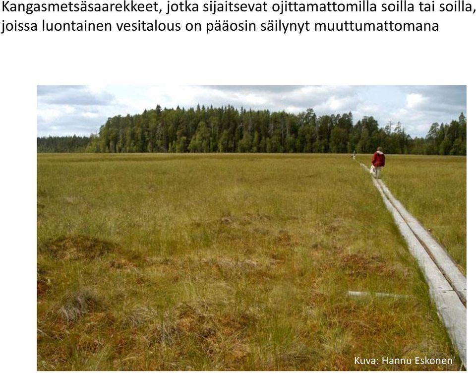 joissa luontainen vesitalous on pääosin