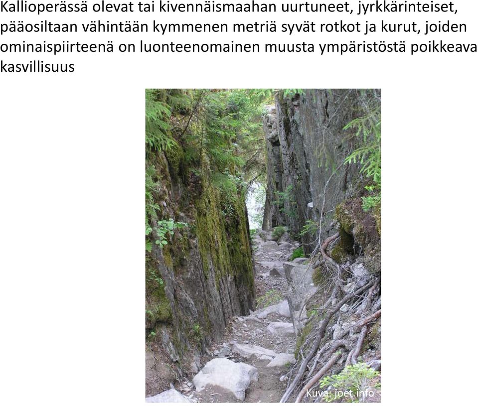 syvät rotkot ja kurut, joiden ominaispiirteenä on