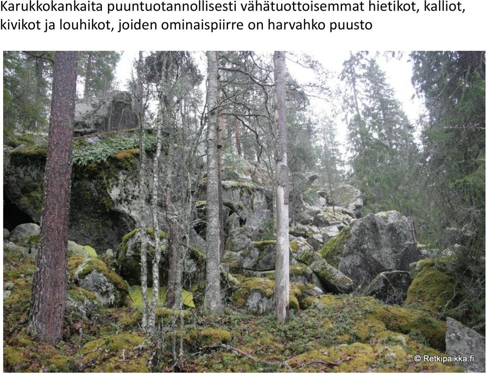 vähätuottoisemmat hietikot,