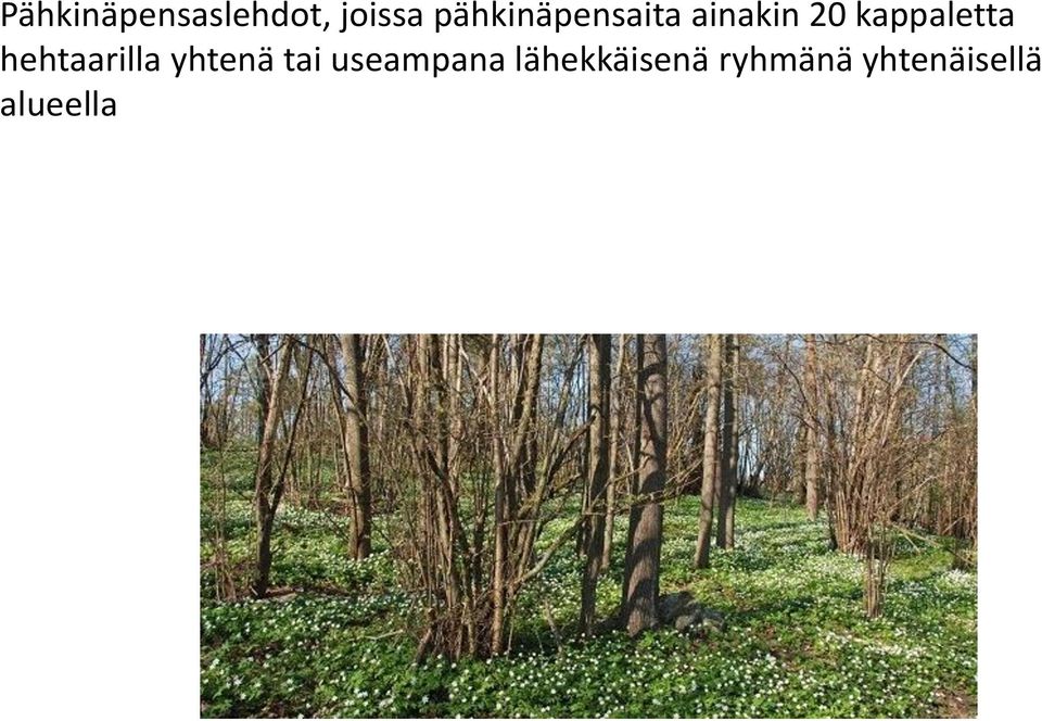 kappaletta hehtaarilla yhtenä tai