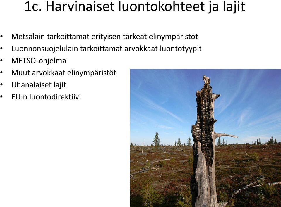 Luonnonsuojelulain tarkoittamat arvokkaat luontotyypit