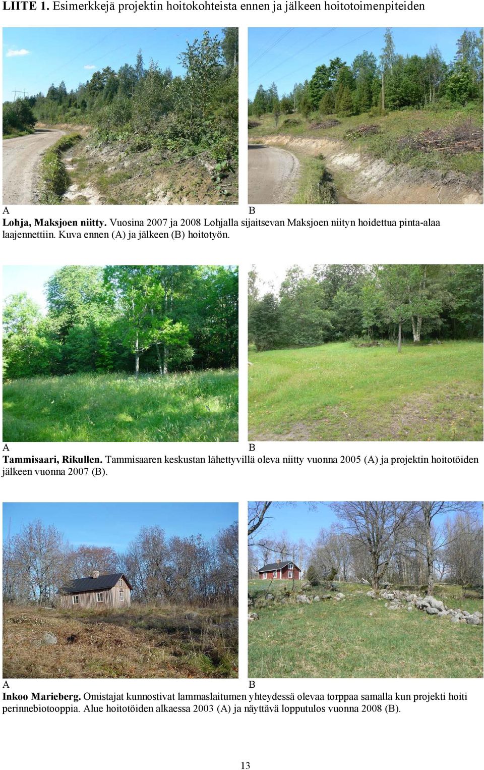 A B Tammisaari, Rikullen. Tammisaaren keskustan lähettyvillä oleva niitty vuonna 2005 (A) ja projektin hoitotöiden jälkeen vuonna 2007 (B).