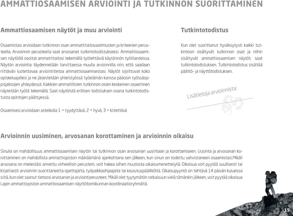 Näytön arviointia täydennetään tarvittaessa muulla arvioinnilla niin, että saadaan riittävän luotettavaa arviointitietoa ammattiosaamisestasi.