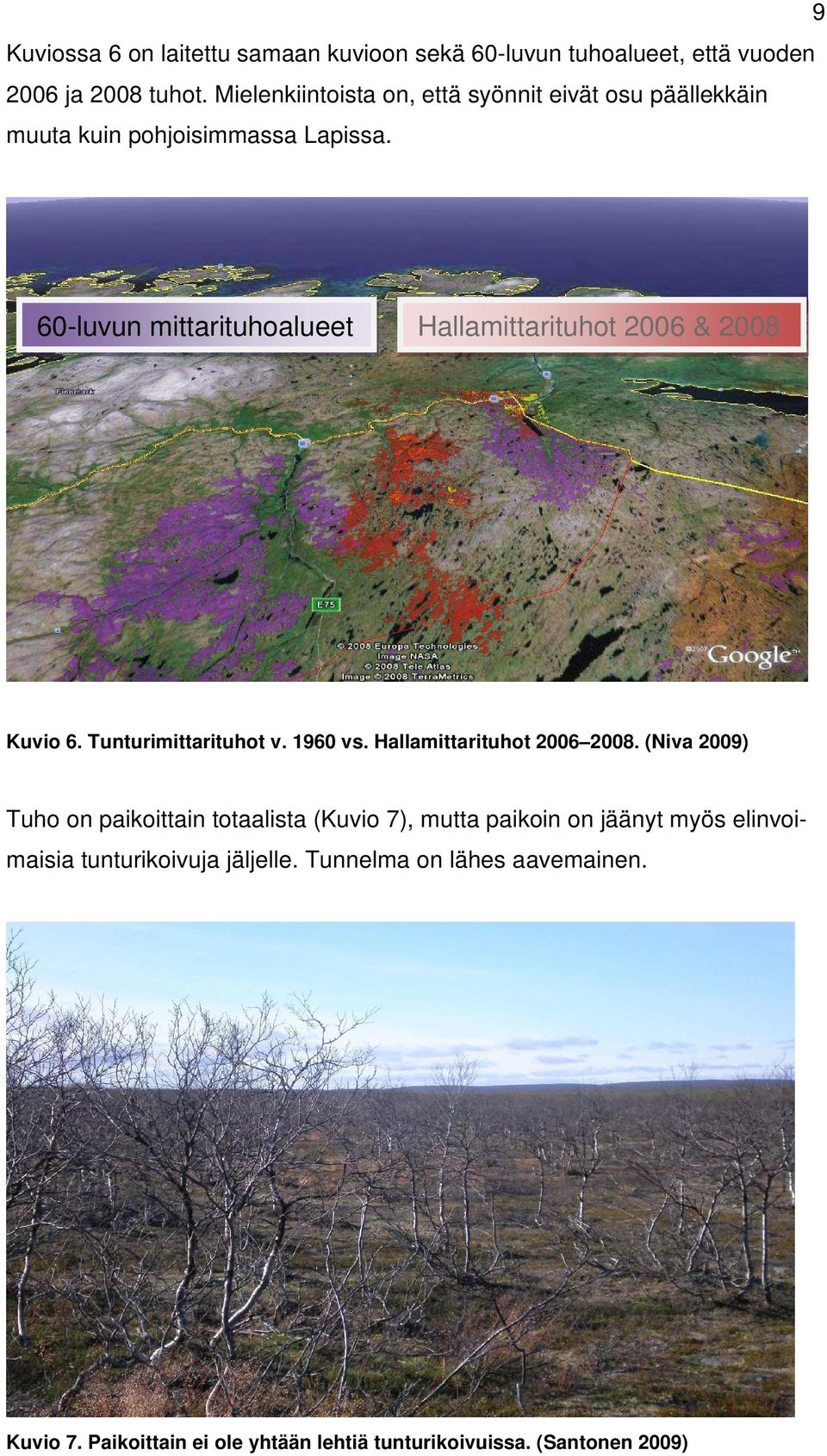 60-luvun mittarituhoalueet Hallamittarituhot 2006 & 2008 Kuvio 6. Tunturimittarituhot v. 1960 vs. Hallamittarituhot 2006 2008.