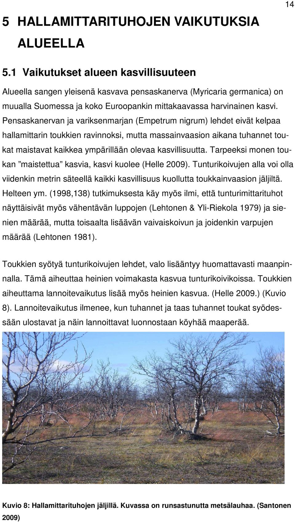 Pensaskanervan ja variksenmarjan (Empetrum nigrum) lehdet eivät kelpaa hallamittarin toukkien ravinnoksi, mutta massainvaasion aikana tuhannet toukat maistavat kaikkea ympärillään olevaa